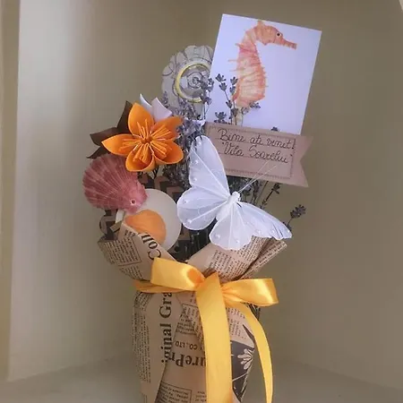 Casa Esy ゲストハウス エフォリエ・ノルド