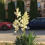 Casa Esy Vendégház Észak-Eforie