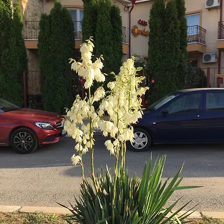 Casa Esy Casa de hóspedes Eforie Nord