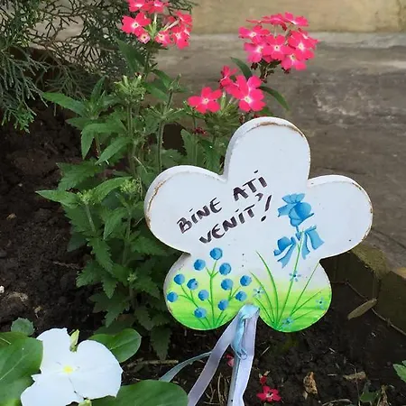 Casa Esy Eforie Nord