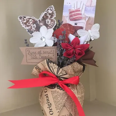 Casa Esy Eforie Nord