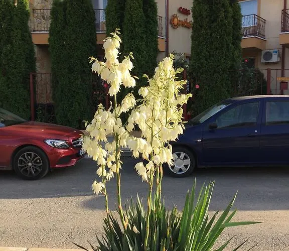 Casa Esy Vendégház Észak-Eforie